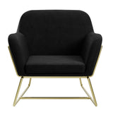 Velvet Armchair With Gold Frame - Charles