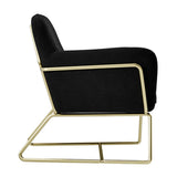 Velvet Armchair With Gold Frame - Charles