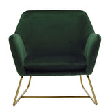 Velvet Armchair With Gold Frame - Charles
