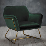 Velvet Armchair With Gold Frame - Charles