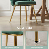 Velvet Dining Chairs in Set Of 2 With Gold Metal Legs- Velmora