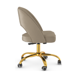 Velvet Home And Office Chair - Sandley