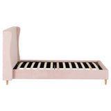 Velvet Single Bed - Amelia