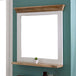 Wall Mirror With Solid Mango Wood Frame - Alfie