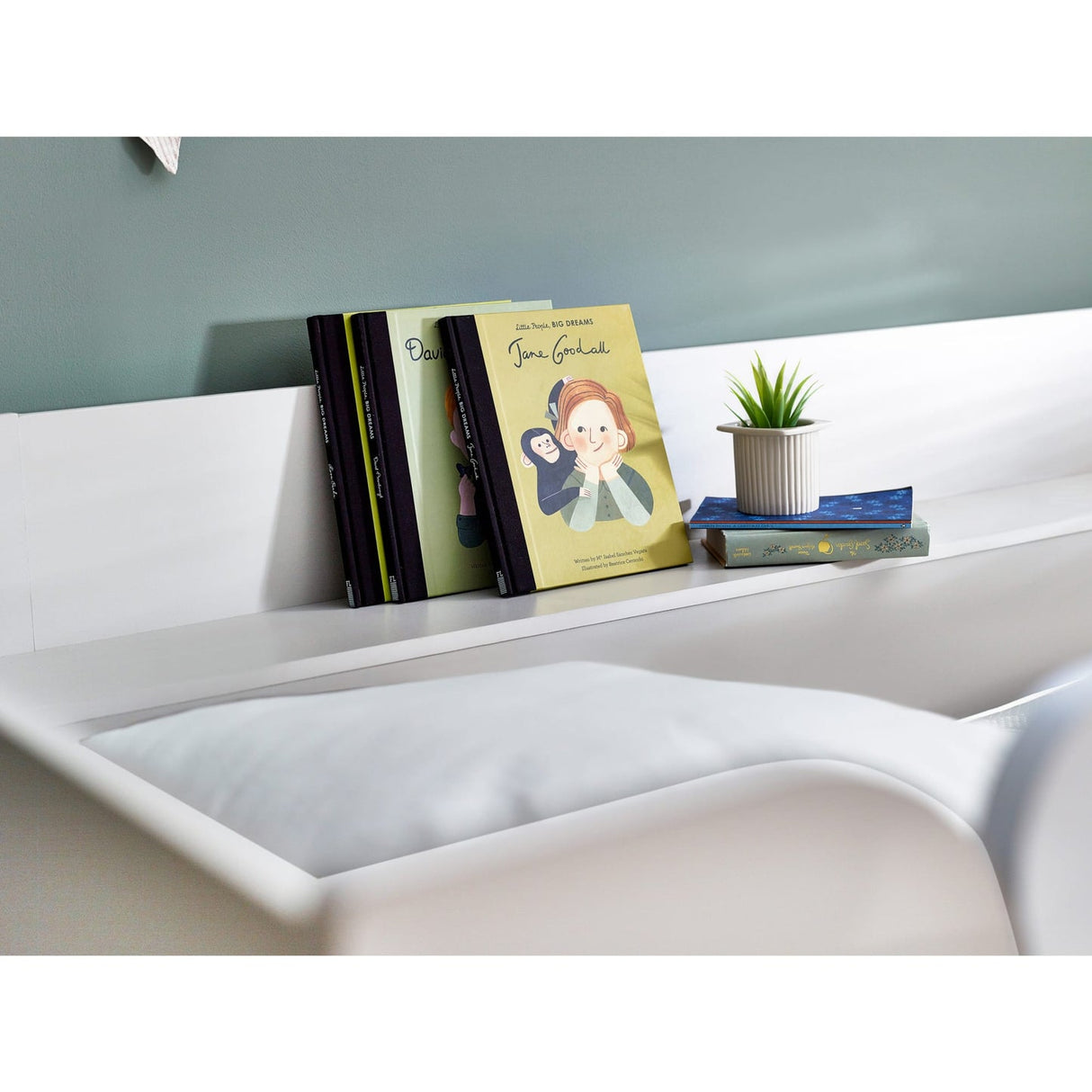 Wooden Bunk Bed With Ladder - Parsec