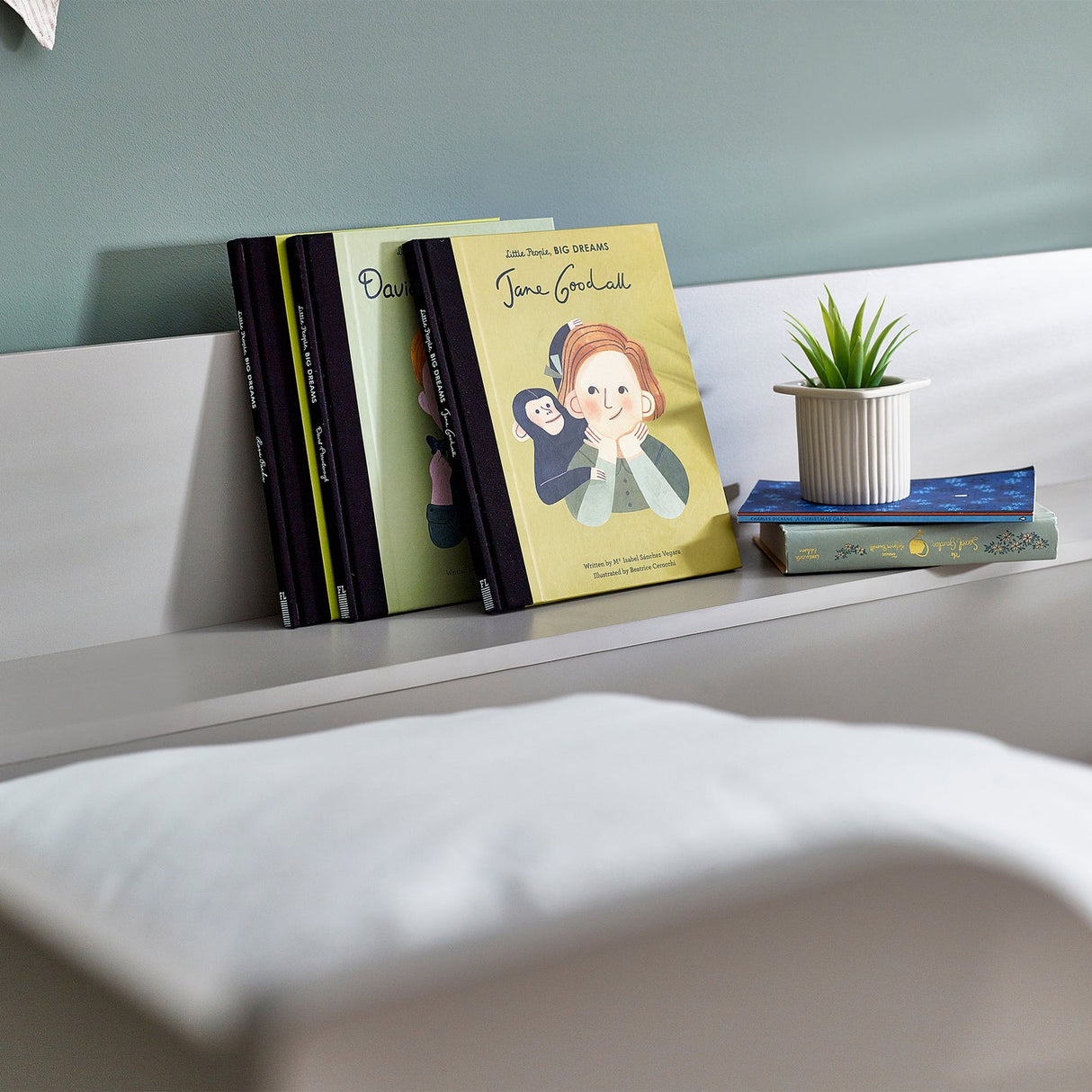 Wooden Bunk Bed With Ladder - Parsec