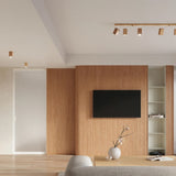Wooden Ceiling Light With Keke Lamp - Peach Puff
