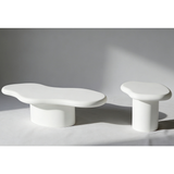 Wooden Coffee And End Table in Irregular Shape - Marcello