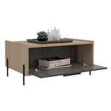 Wooden Coffee Table With 1 Flap Door - Harvard