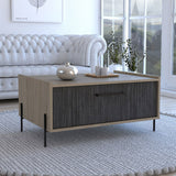 Wooden Coffee Table With 1 Flap Door - Harvard