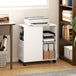 Wooden File Cabinet 60cm Wide With 2 Drawers And Wheels - Velmora