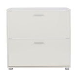 Wooden Shoe Cabinet With 2 Flap Doors - Lido
