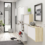 Wooden Shoe Storage Cabinet With 2 Flip Down Doors And 1 Layer - Seabrook