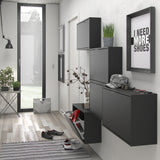 Wooden Shoe Storage Cabinet With 3 Flip Down Doors And 1 Layer - Seabrook