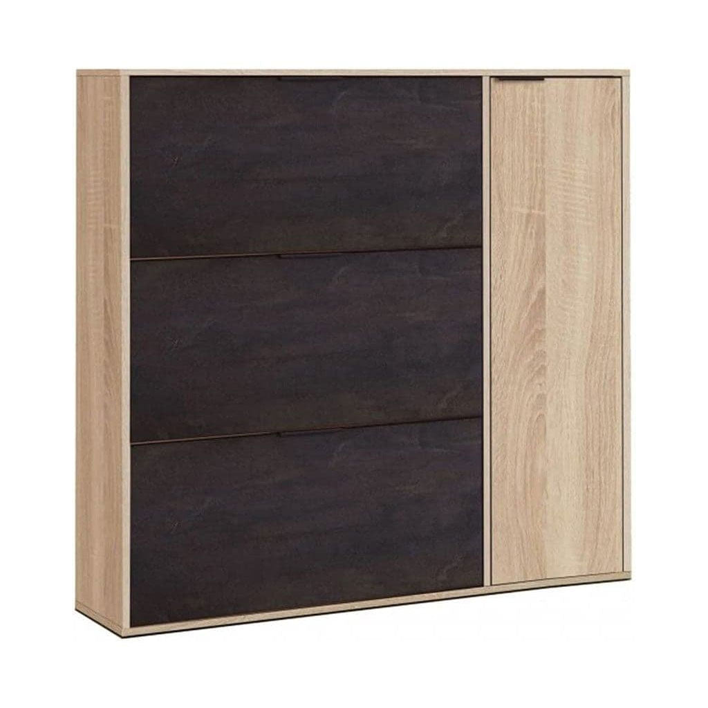 Wooden Shoe Storage Cabinet With 1 Door And 3 Flap Doors - Marion