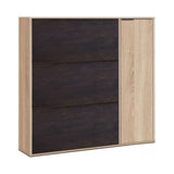 Wooden Shoe Storage Cabinet With 1 Door And 3 Flap Doors - Marion