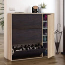 Wooden Shoe Storage Cabinet With 1 Door And 3 Flap Doors - Marion