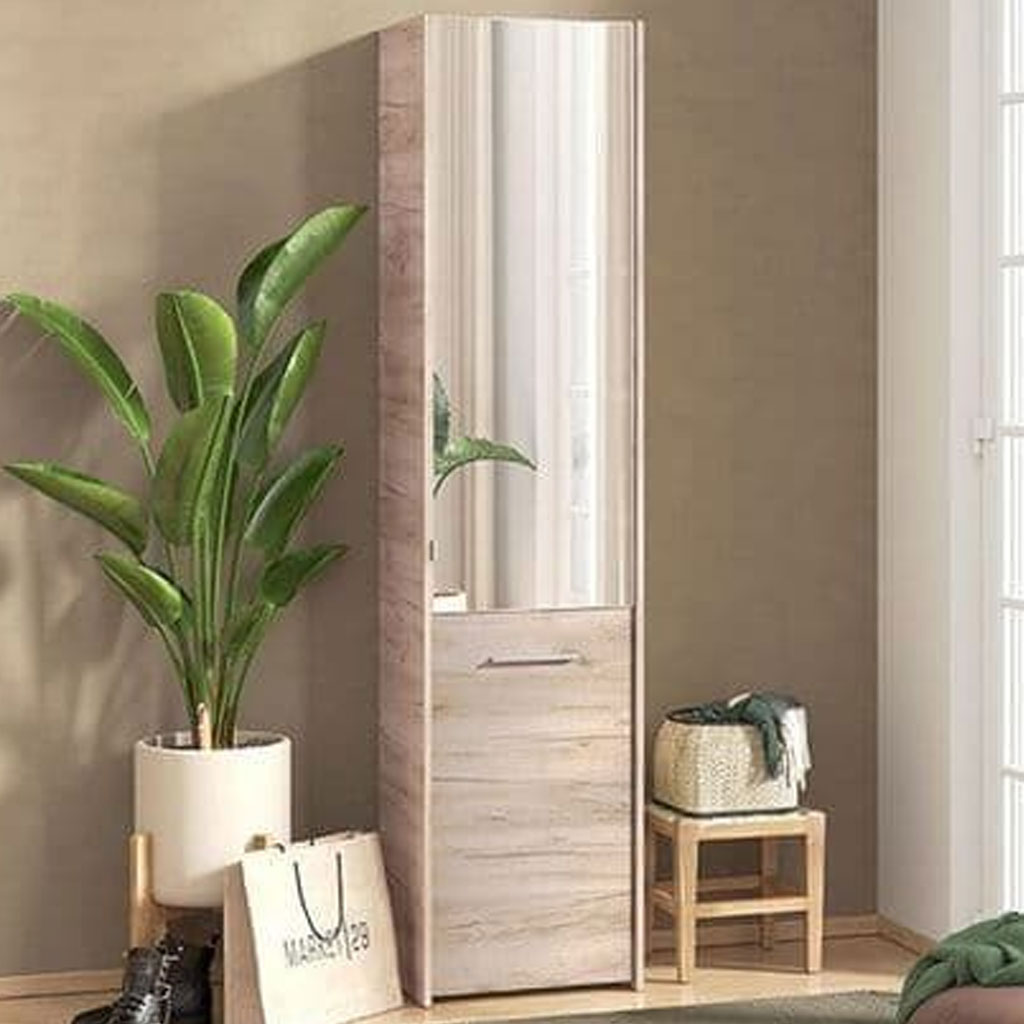Wooden Shoe Storage Cabinet With 1 Half Mirrored Door - Oswego