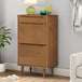 Wooden Shoe Storage Cabinet With 2 Flip Doors And 1 Drawer - Molde