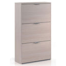 Wooden Shoe Storage Cabinet With 3 Flap Doors - Maryville