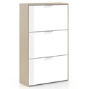 Wooden Shoe Storage Cabinet With 3 Flap Doors - Maryville