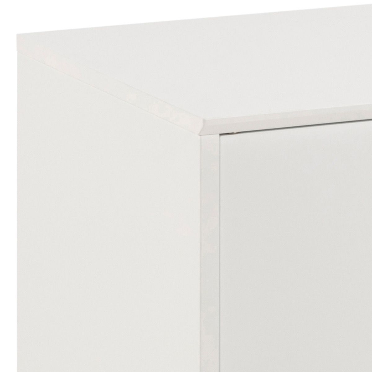 Wooden Sideboard With 2 Doors - Mitra