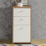 Wooden Storage Cabinet With 1 Door And 2 Drawers - Best Chest