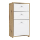 Wooden Storage Cabinet With 1 Door And 2 Drawers - Best Chest