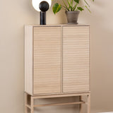 Wooden Storage Cabinet With 2 Doors And 4 Shelves - Linley