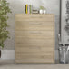 Wooden Storage Cabinet With 2 Drawers And 2 File Drawers - Prima