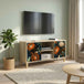 Wooden TV Stand 102cm Wide With 2 Doors - Lochem