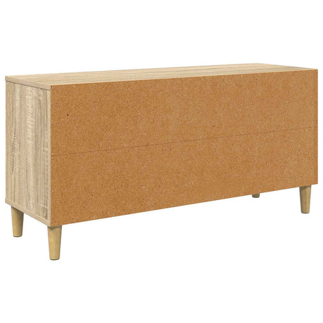 Wooden TV Stand 102cm Wide With 2 Doors - Zaandam