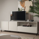 Wooden TV Stand With 2 Doors And 1 Drawer - Avenale