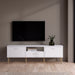 Wooden TV Stand With 2 Doors And 1 Drawer - Media