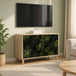 Wooden TV Stand 69cm Wide With 2 Doors - Elburg