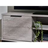 Wooden TV Stand With 1 Door And 2 Drawers - Bali