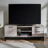 Wooden TV Stand With 1 Door And 2 Drawers - Bali
