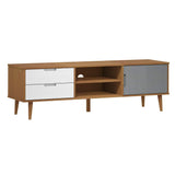 Wooden TV Stand With 1 Door And 2 Drawers - Molde