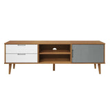 Wooden TV Stand With 1 Door And 2 Drawers - Molde