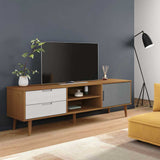 Wooden TV Stand With 1 Door And 2 Drawers - Molde