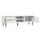 Wooden TV Stand With 1 Door And 2 Drawers - Molde