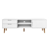 Wooden TV Stand With 1 Door And 2 Drawers - Molde