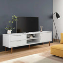 Wooden TV Stand With 1 Door And 2 Drawers - Molde