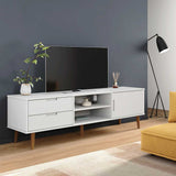 Wooden TV Stand With 1 Door And 2 Drawers - Molde