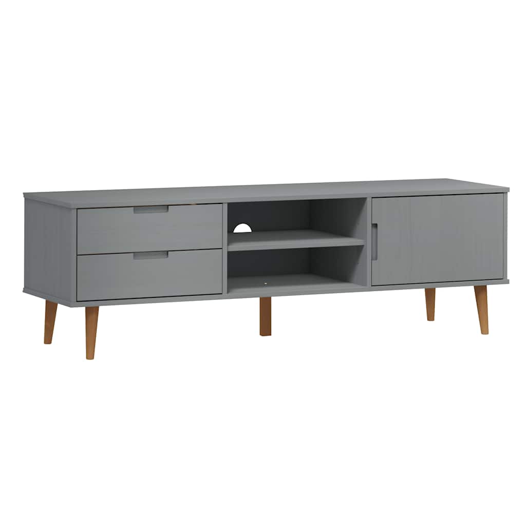 Wooden TV Stand With 1 Door And 2 Drawers - Molde