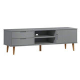 Wooden TV Stand With 1 Door And 2 Drawers - Molde
