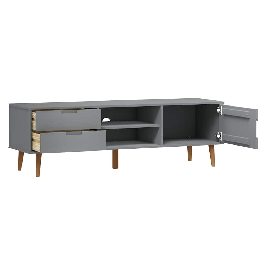 Wooden TV Stand With 1 Door And 2 Drawers - Molde