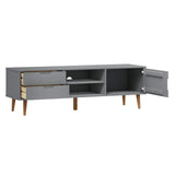 Wooden TV Stand With 1 Door And 2 Drawers - Molde