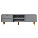 Wooden TV Stand With 1 Door And 2 Drawers - Molde