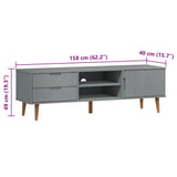 Wooden TV Stand With 1 Door And 2 Drawers - Molde
